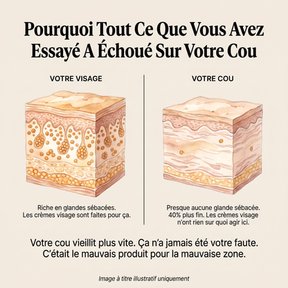 Pourquoi les crèmes visage échouent sur le cou — peau 40% plus fine